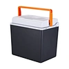 Evercool Protail Thermo Electric 12 Volt DC 110V 220V DC Fridge Electric Cooler Box Portable Travel Medical Fridge With CE ETL