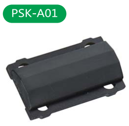 PSK-A01