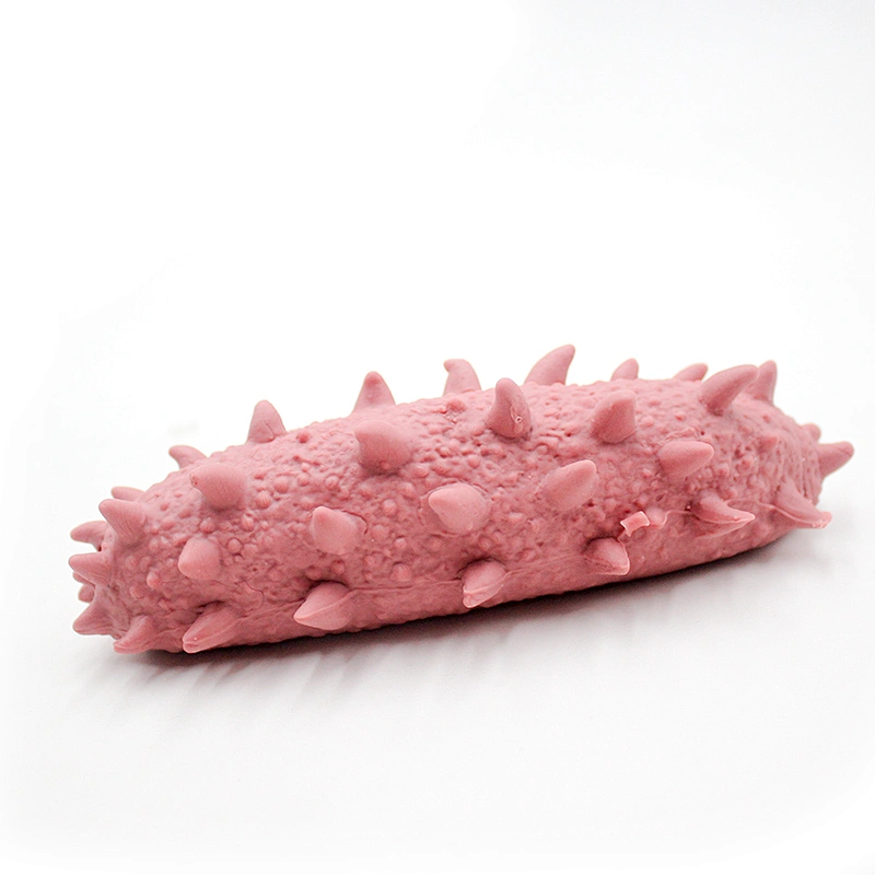 Simulation Stretchy Sea Cucumber