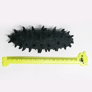 Simulation Stretchy Sea Cucumber