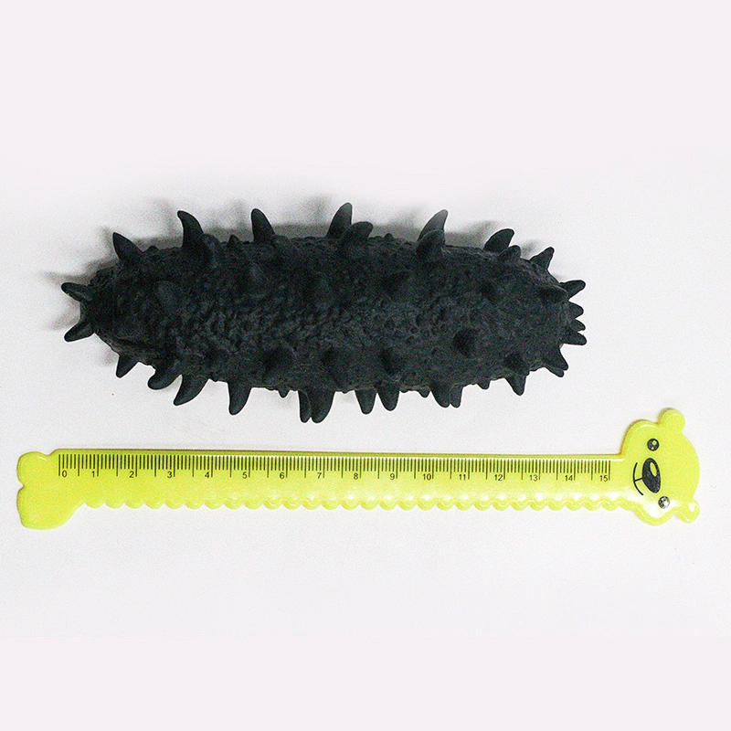 Simulation Stretchy Sea Cucumber