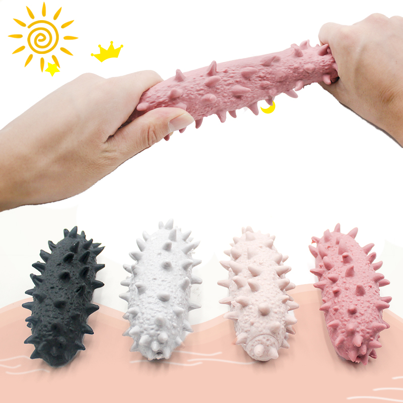 Simulation Stretchy Sea Cucumber