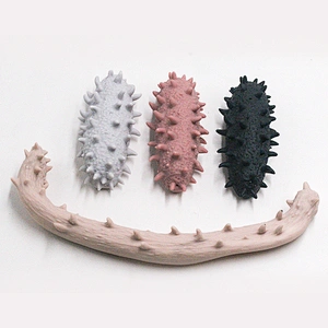 Simulation Stretchy Sea Cucumber