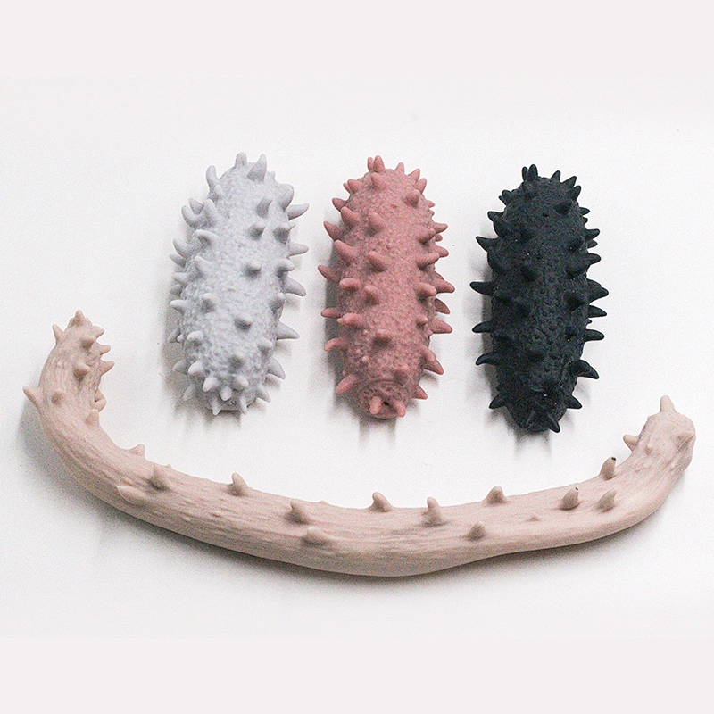 Simulation Stretchy Sea Cucumber