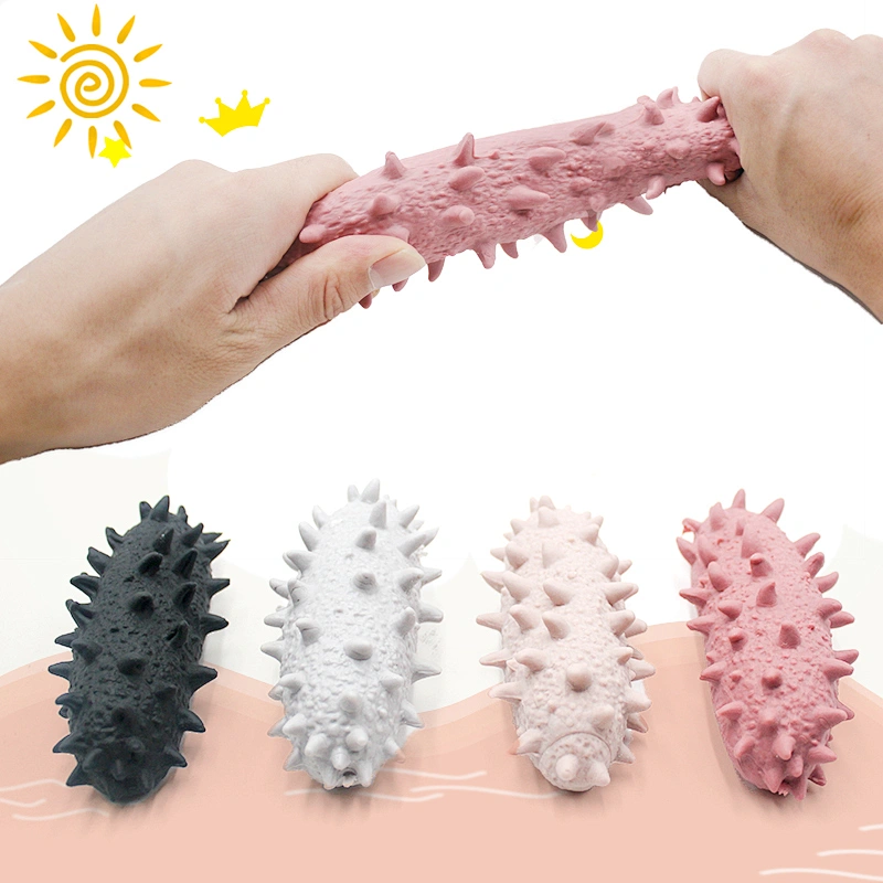 Simulation Stretchy Sea Cucumber