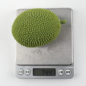 Jackfruit Pinch Toys