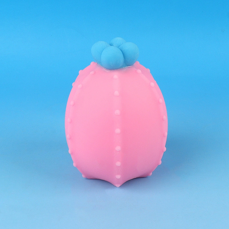 Anti Stress Cactus Toy