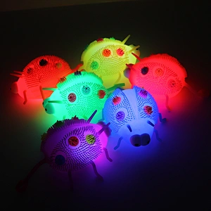 Flashing lady bird toys