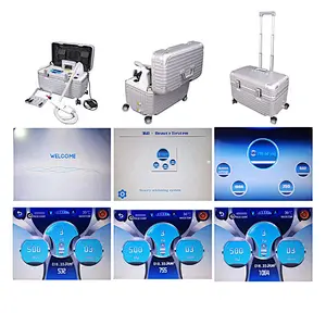 Portable pico laser machine