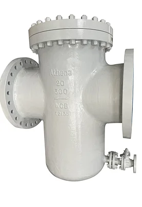 basket type filter