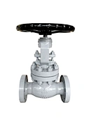 Le valvole a globo da 2"-18" 150LB~1500LB migliorano l'efficienza energetica e riducono i costi di manutenzione