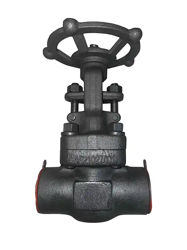 Design API 602: 1/2″-2″ da 150LB a 2500LB Elevate prestazioni di tenuta Maggiore durata