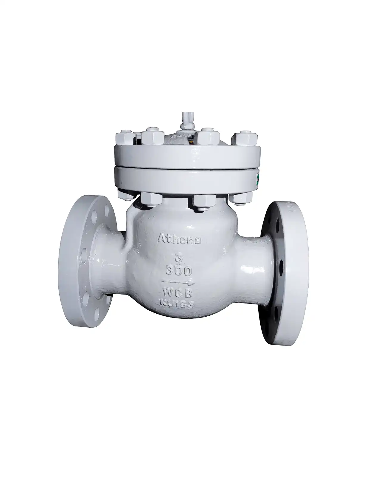 Industrial Check Valve