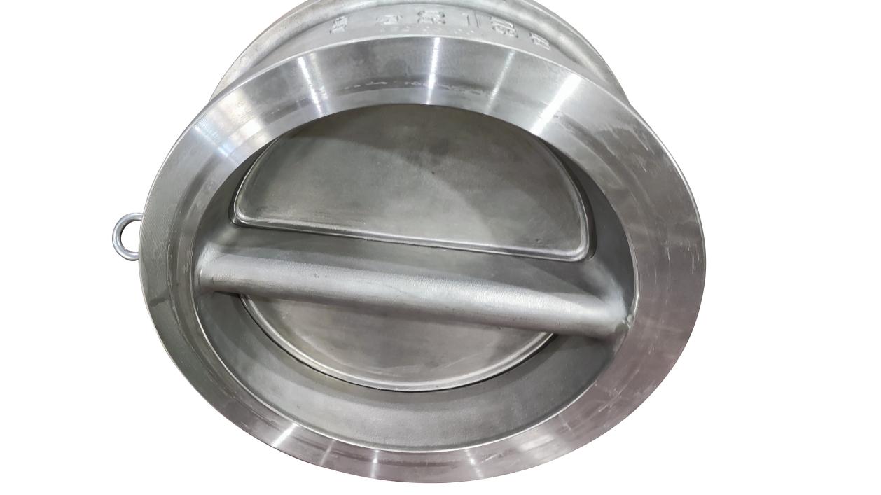 Check Valve