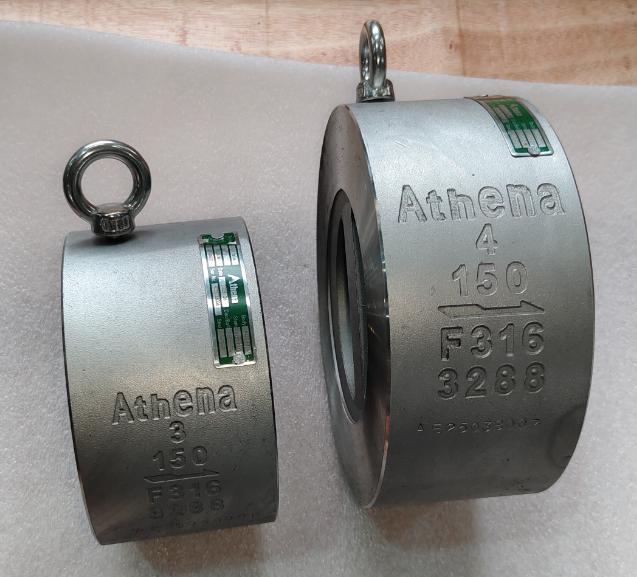 Dual Plate Check Valve