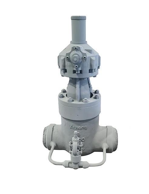 Athena Power Plant Gate Valve
