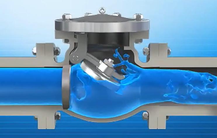 Check Valve