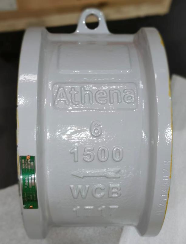 Dual Plate Check Valve