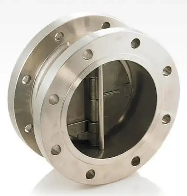 dual plate check valve