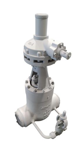 gate valve
