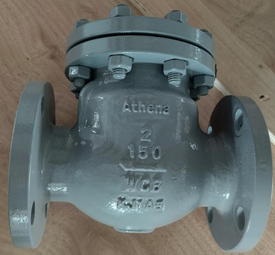 Swing Check Valve