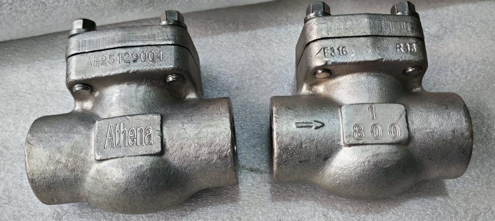 Check Valve