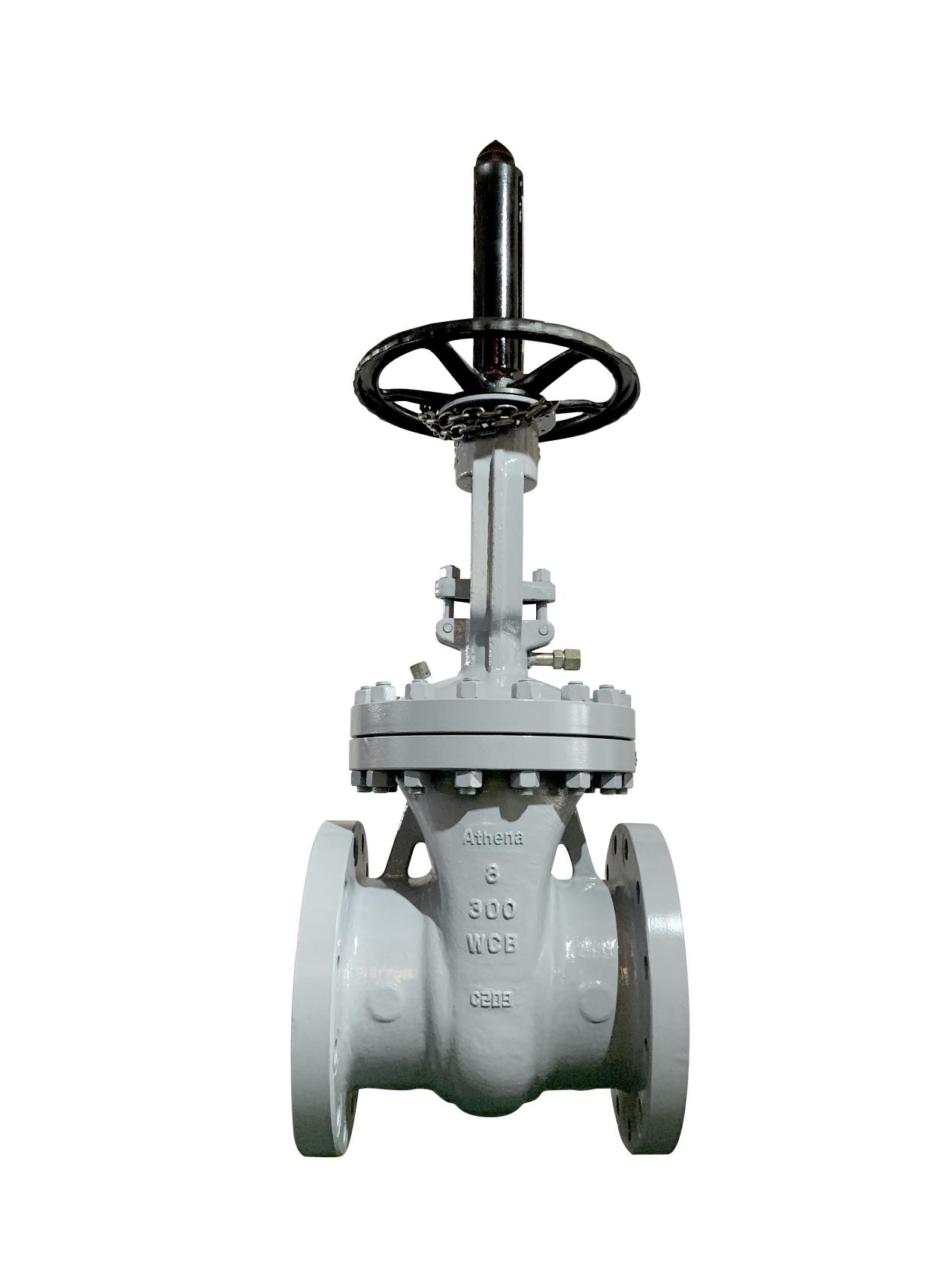 gate valve