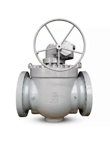 Globe Valve