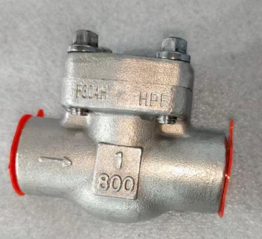 Check Valve
