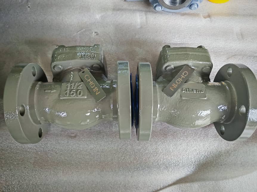 Flange swing check valve