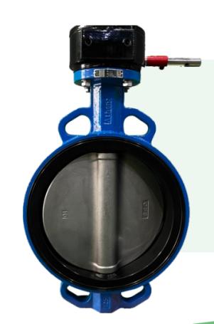 Butterfly Valve