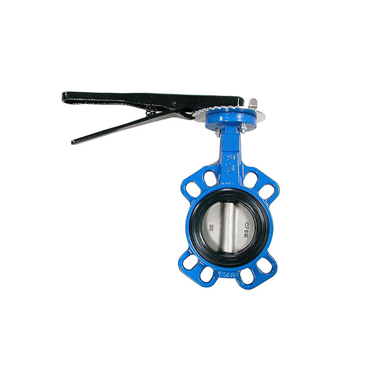 Type A LT U Cast Iron Valve Wafer Type Butterfly Valve