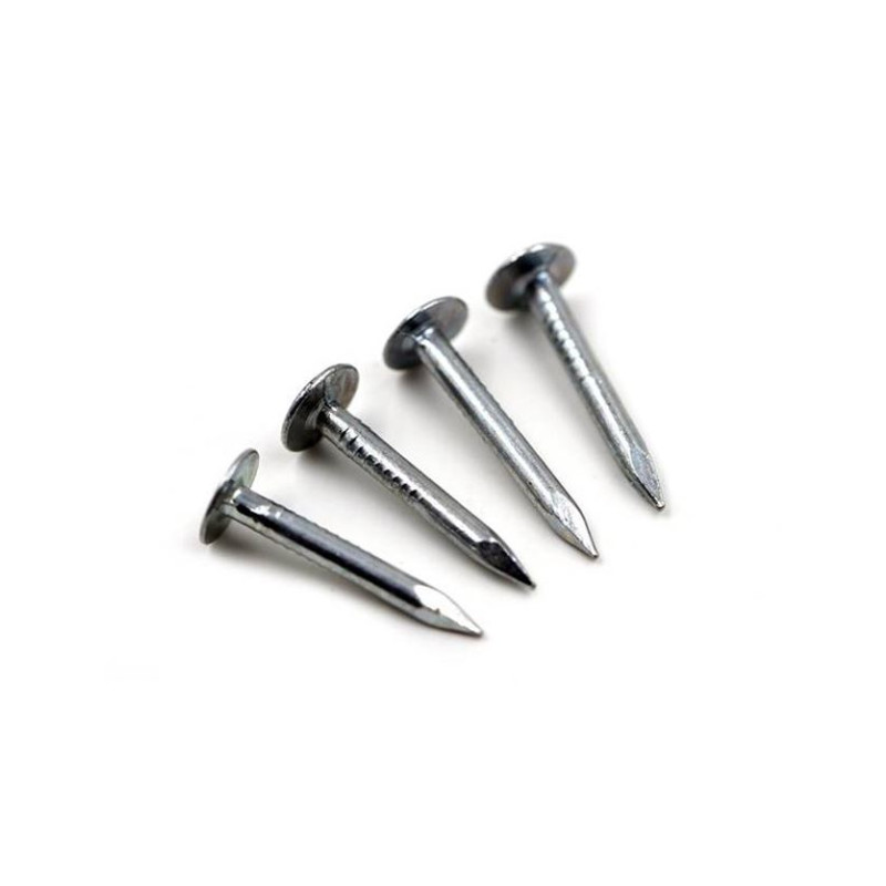 clout nail with overlarge head