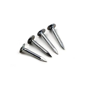 clout nail with overlarge head