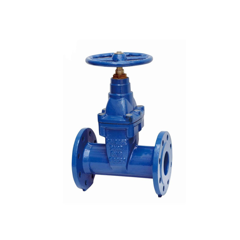 DIN F5 GATE VALVE