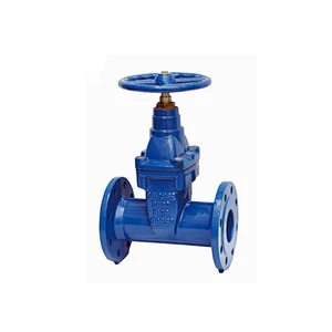 DIN F5 GATE VALVE