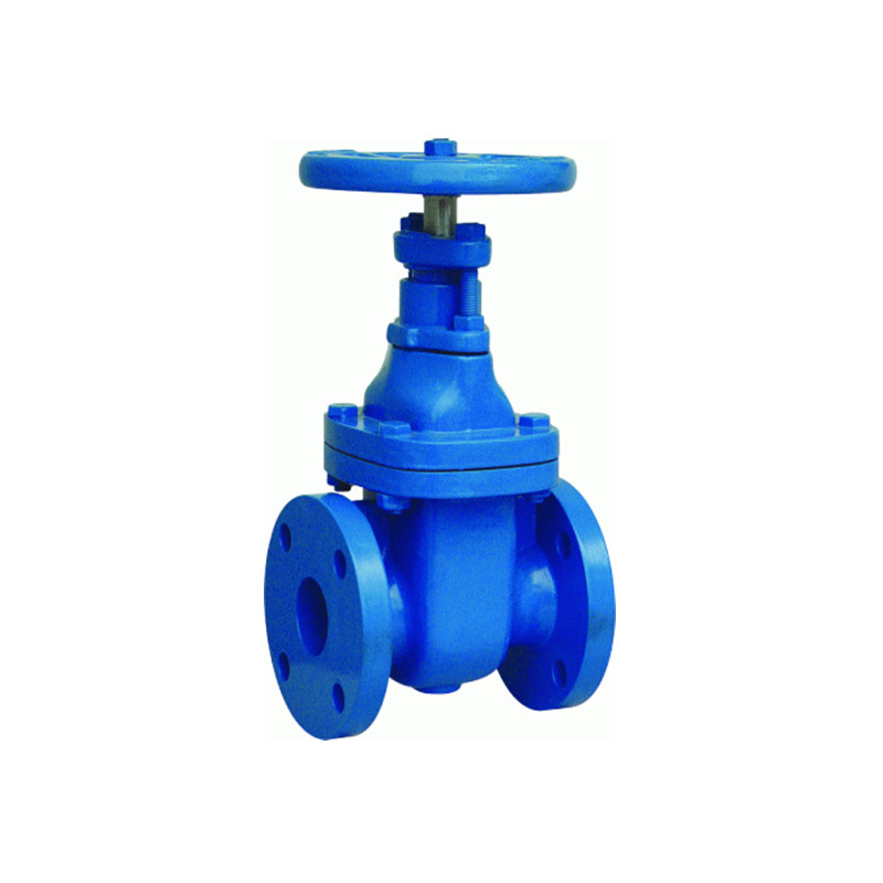 ANSI GATE VALVE-1