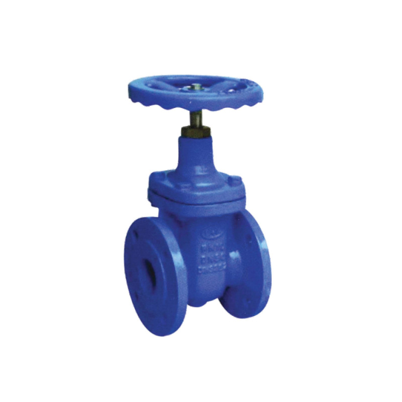 cast iron valve
