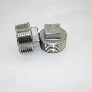 SS304/316 Stainless Steel Male Threaded Plug Pipe Fittings