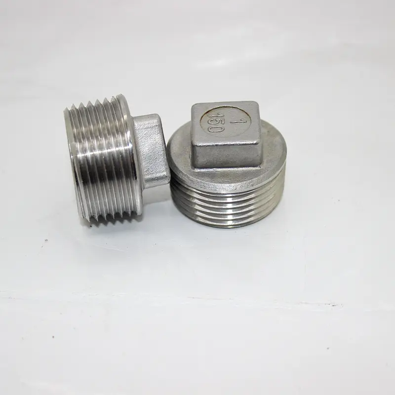 SS304/316 Stainless Steel Male Threaded Plug Pipe Fittings