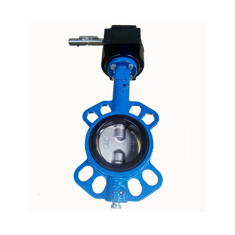 WAFER TYPE BUTTERFLY VALVE-DOUBLE STEM WITHOUT PIN (2)