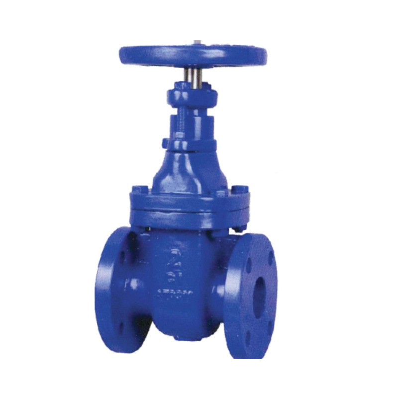 METAL GATE VALVE ANSI  2
