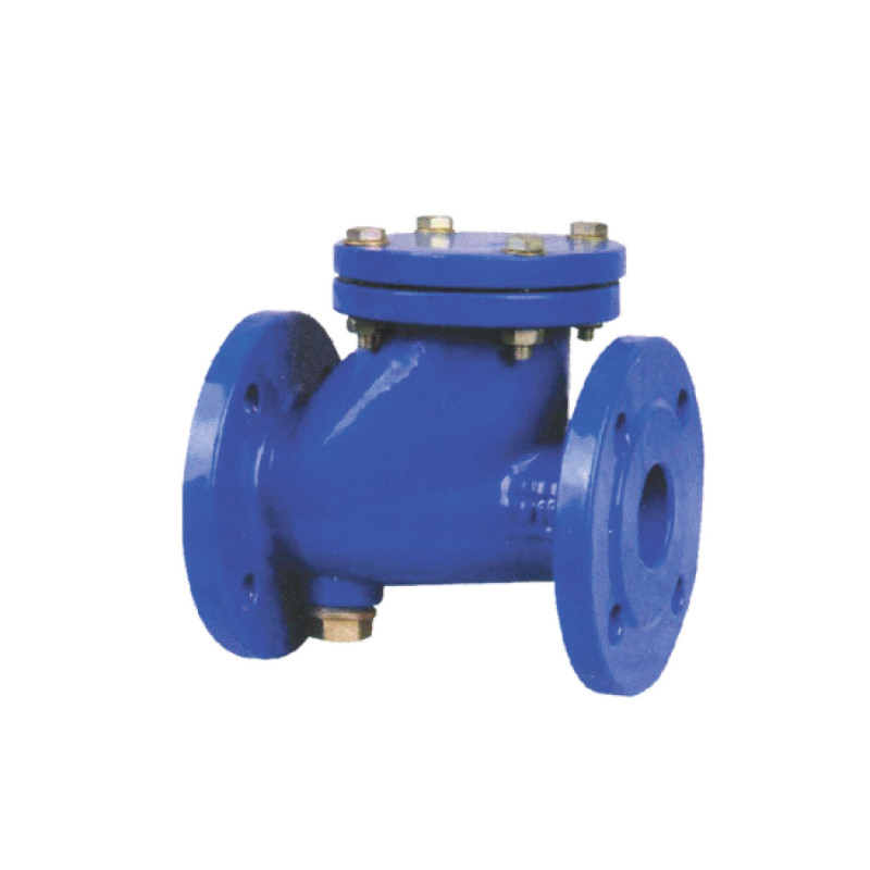 BALL CHECK VALVE 2
