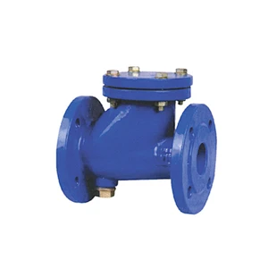 BALL CHECK VALVE 2
