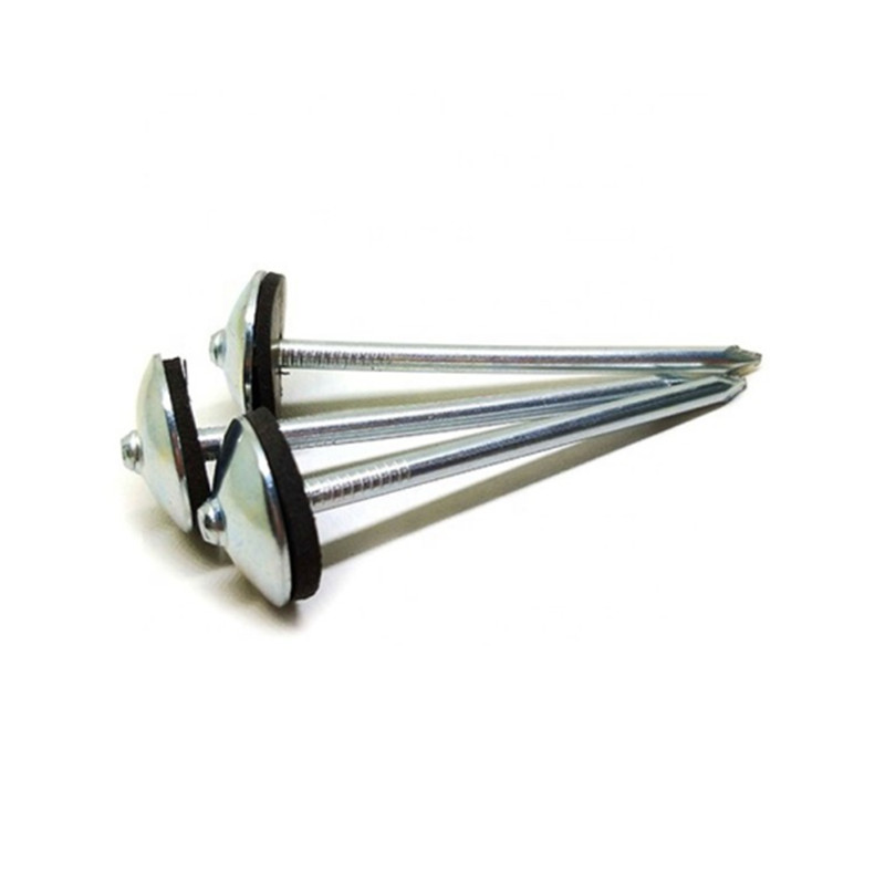 Roofing nail