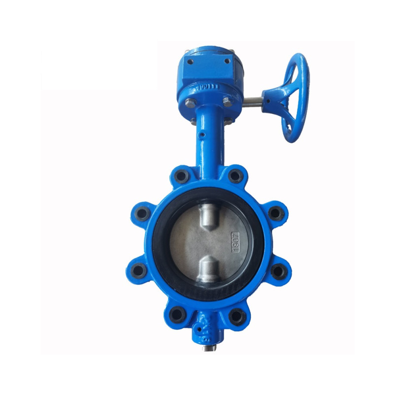 LUG TYPE BUTTERFLY VALVE-DOUBLE STEM WITHOUT PIN (2)
