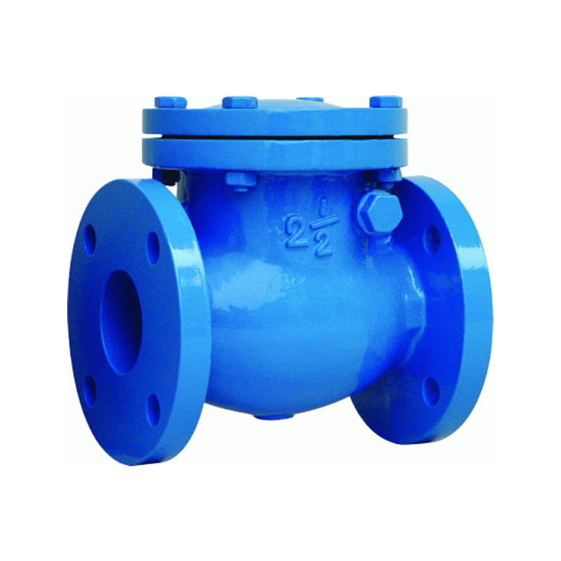 BS4090 check valve