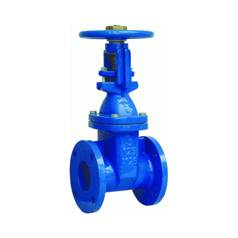 ANSI GATE VALVE-2
