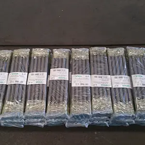 BS DIN EN ASTM Carbon Steel Fittings Pipe lengthen Nipples Hot dipped galvanized and Black