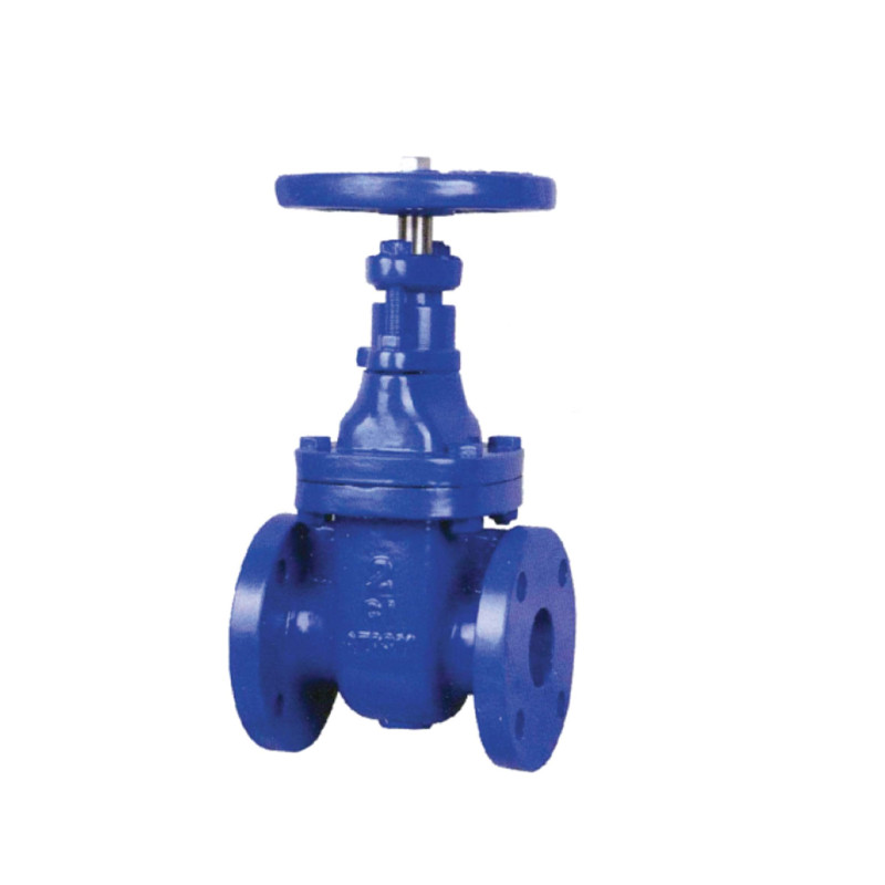 cast iron valve